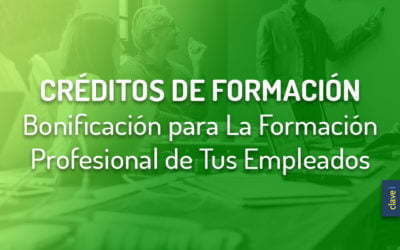 ¿Por qué muchas empresas desperdician el crédito de formación?